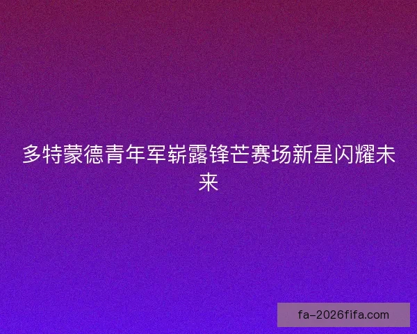 多特蒙德青年军崭露锋芒赛场新星闪耀未来 多特蒙德青年军崭露锋芒赛场新星闪耀未来